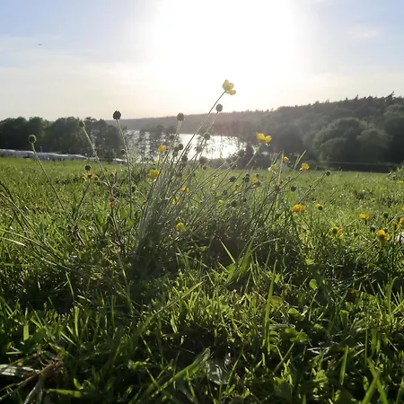 아파트 Appartementhof Fastnacht Am *